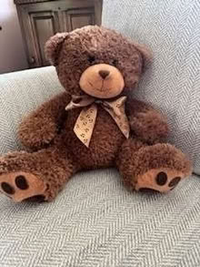 Photo of free Four Teddies (Balcombe RH17) #4