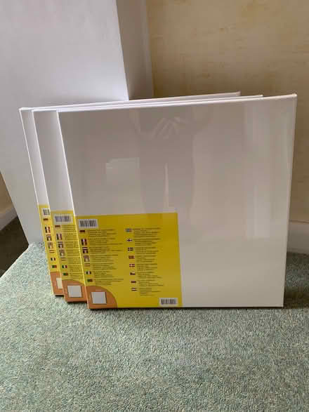 Photo of free Painting canvases (West Byfleet) #1