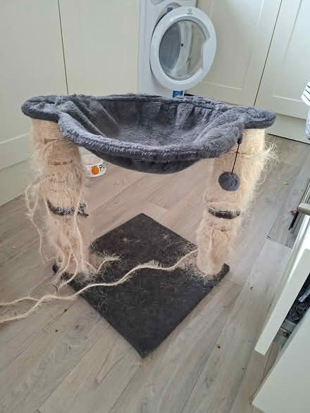 Photo of free Well-loved Cat bed & Scratch Posts (SY3) #1
