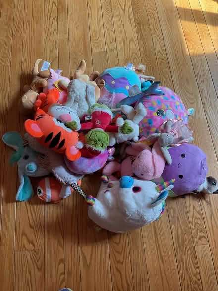 Photo of free Stuffed Animals (Midlothian) #2