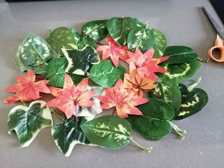 Photo of free Artificial Leaves (South Derbyshire DE65) #1