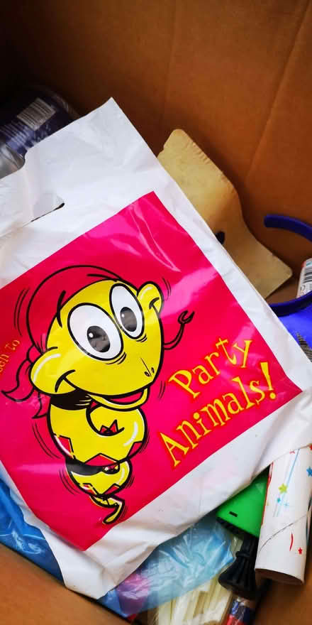 Photo of free Children's party box (The Camp AL1) #4