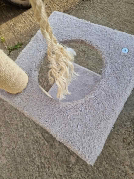 Photo of free Cat tree / scratch post (Heddington SN11) #3