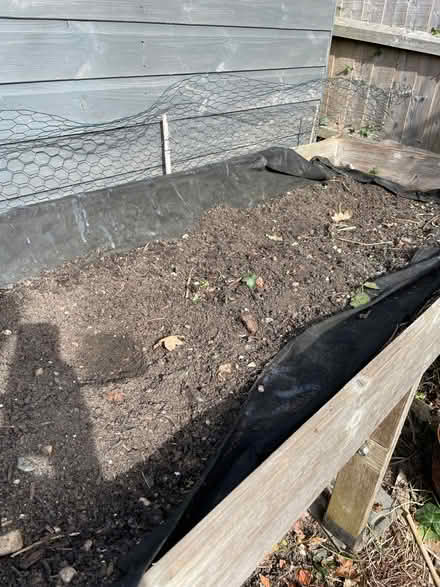 Photo of free Vegetable Trug (Wivenhoe CO7) #2