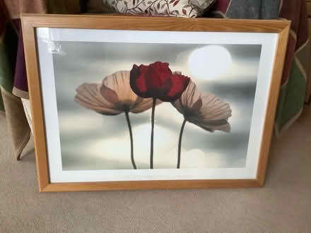 Photo of free Framed Picture of Poppies (Hutton BS24) #1