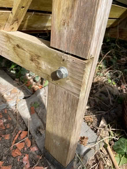 Photo of free Vegetable Trug (Wivenhoe CO7) #3