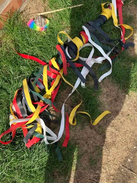 Photo of free Door insect ribbons (Brentry BS10) #1