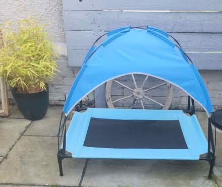 Photo of free Dog summer shelter from Pets at Home (Drylaw EH4) #1