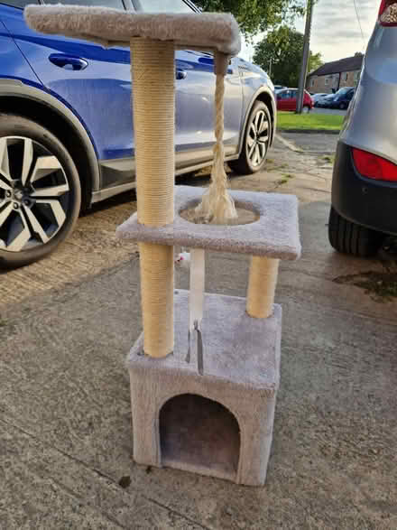 Photo of free Cat tree / scratch post (Heddington SN11) #1