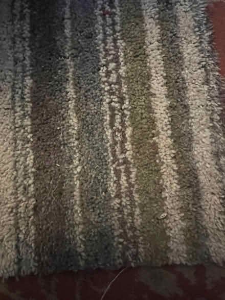 Photo of free Two small pieces of new carpet (Cuxton ME2) #1