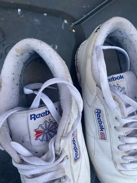 Photo of free Trainers (Wadsley S6) #2