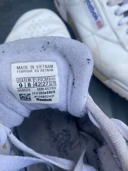 Photo of free Trainers (Wadsley S6) #3