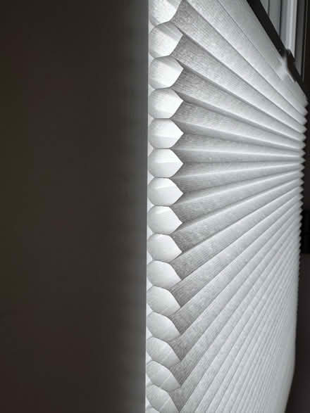 Photo of free Honeycomb Blinds - NEW (SE15 Peckham) #2