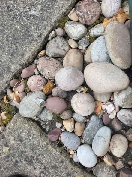 Photo of free Decorative stones for garden (Chilwell, NG9) #3