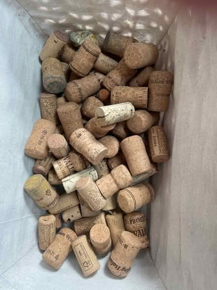 Photo of free Lots of corks (Sherwood NG5) #1