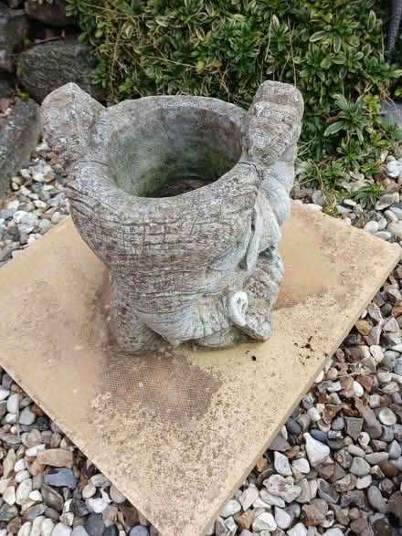 Photo of free Planters (Shifnal TF11) #1