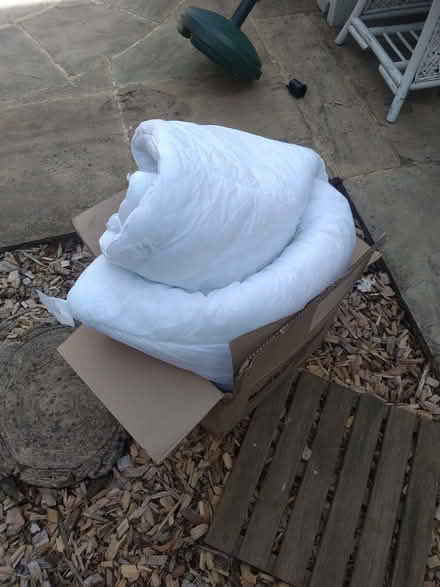 Photo of free Single duvet (Greater Leys OX4) #1