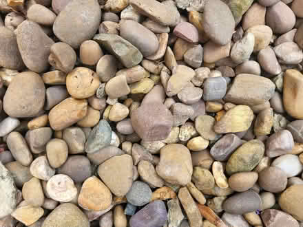 Photo of free Decorative stones for garden (Chilwell, NG9) #4