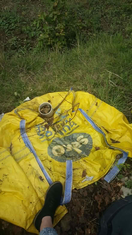 Photo of free large builders bag (New Greens AL3) #1