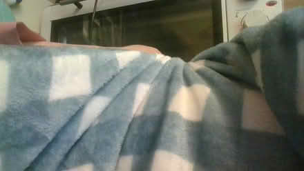Photo of free 7 dog/cat winter blankets (BA2) #2