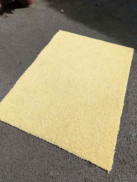 Photo of free Yellow wool carpet (Woodley RG5) #2