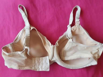 Photo of free Nursing bra, 32F (Maidenhead, SL6 4) #2