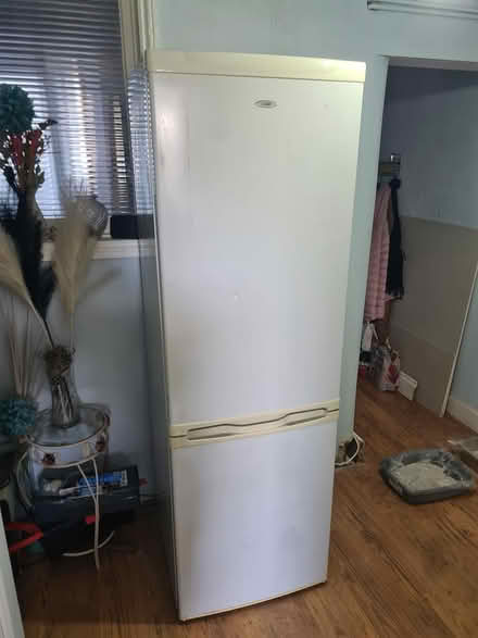 Photo of free Fridge freezer (Hastings TN34) #3