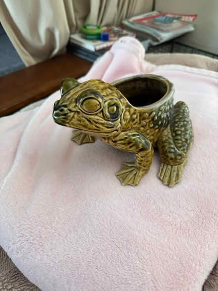 Photo of free Frog Planter (San Jose California) #3