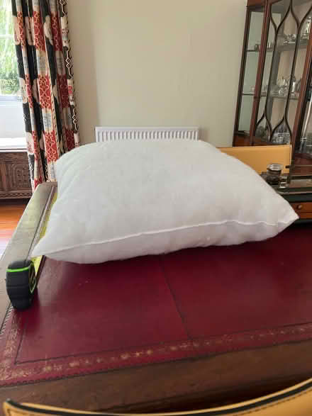 Photo of free Cushion inners (Sheffield Park TN22) #1