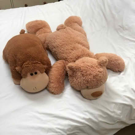 Photo of free Cuddly Toys (Whitchurch CF14) #3