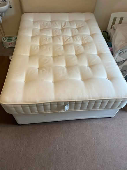 Photo of free mattress and divan (Richmond) #3