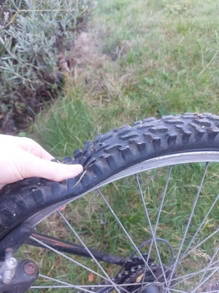 Photo of free Adult bike. Needs new tyres (Tyler Hill, Canterbury CT2) #2