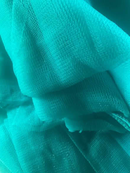 Photo of free Bundle Garden Netting (Minehead) #2