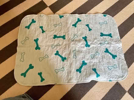 Photo of free 16x puppy training pads washable (West Bridgford NG2) #1