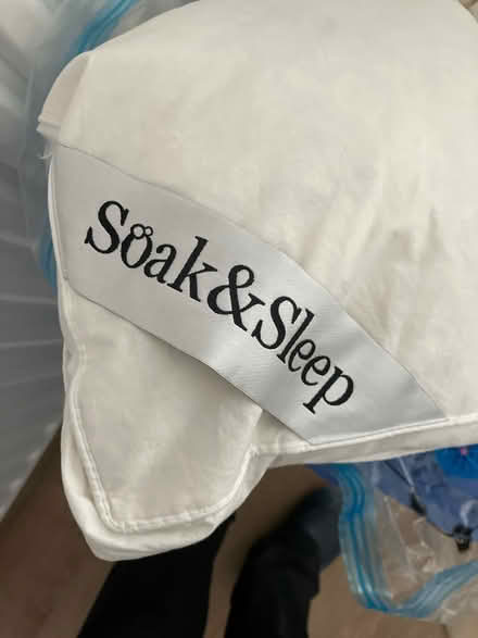 Photo of free Single mattress topper x2 (Twickenham Green) #1