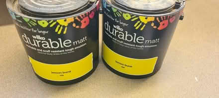 Photo of free Emulsion Paint (Lemon Burst) (Dorking RH4) #1