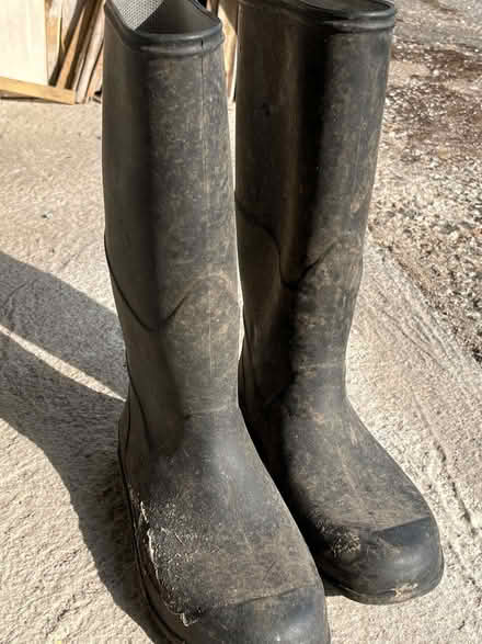 Photo of free wellies size 42 (AB14) #1