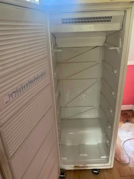 Photo of free Tall freezer (Epping. CM16) #2