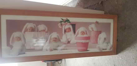 Photo of free Anne Geddes baby picture (Dukinfield SK16) #2