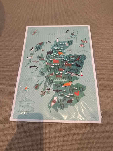 Photo of free Brand new Scotland print (SE13) #1