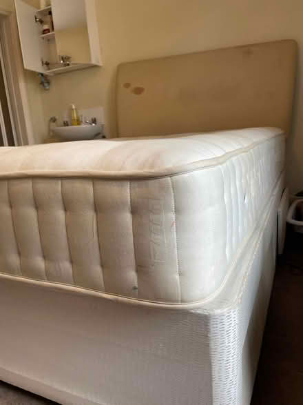 Photo of free mattress and divan (Richmond) #2