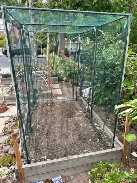 Photo of free 4x6 vegetable box and cage (Redwood city) #1