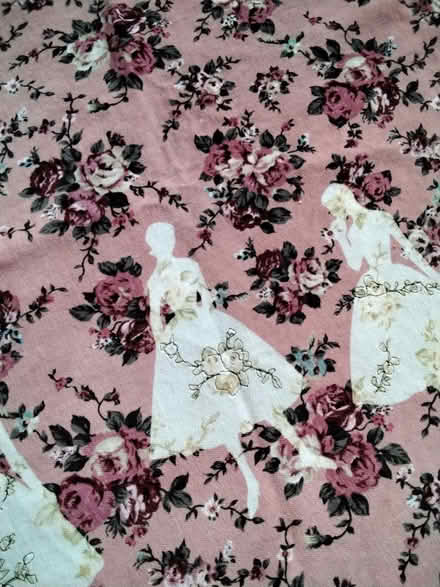 Photo of free Piece of velvet fabric with printed figures and lace (Allerton L18) #1