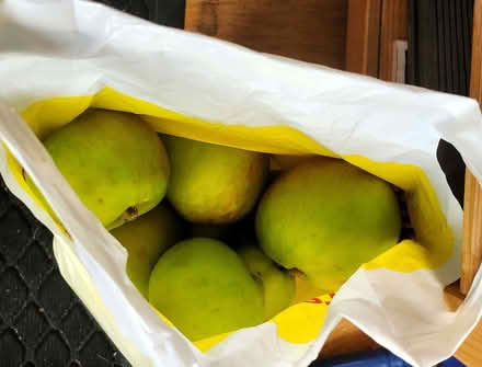 Photo of free Bags of apples, bramleys, mixed sizes (Purbrook PO7) #1