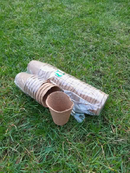 Photo of free Fibre pots (Chineham RG24) #1