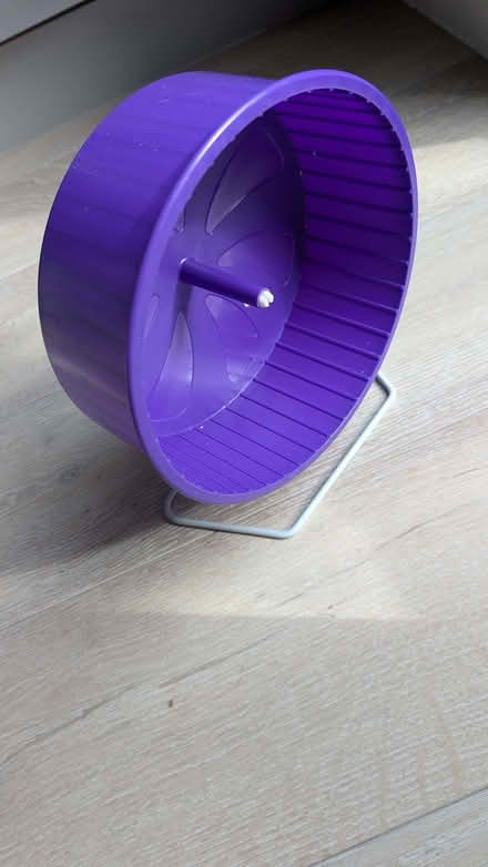 Photo of free Hamster wheel (Abbeville Village SW12) #3