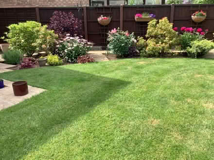 Photo of free Chairs (Apley TF1) #2