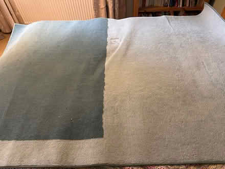 Photo of free Rug (Devizes SN10) #1