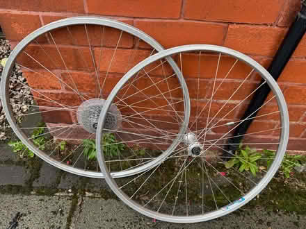 Photo of free Pair of 26” basic mountain bike wheels. QR, 7 speed (Formby L37) #2