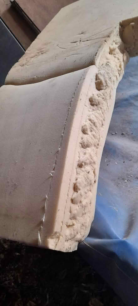Photo of free Large sponge (Dodford B61) #2